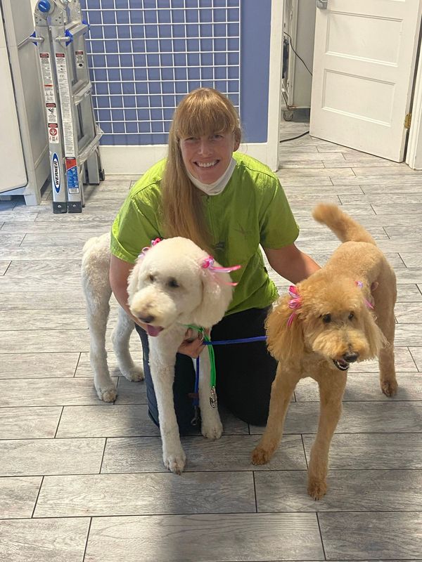 Pet Grooming, Pet Services Cali's Pet Grooming Saline, Michigan